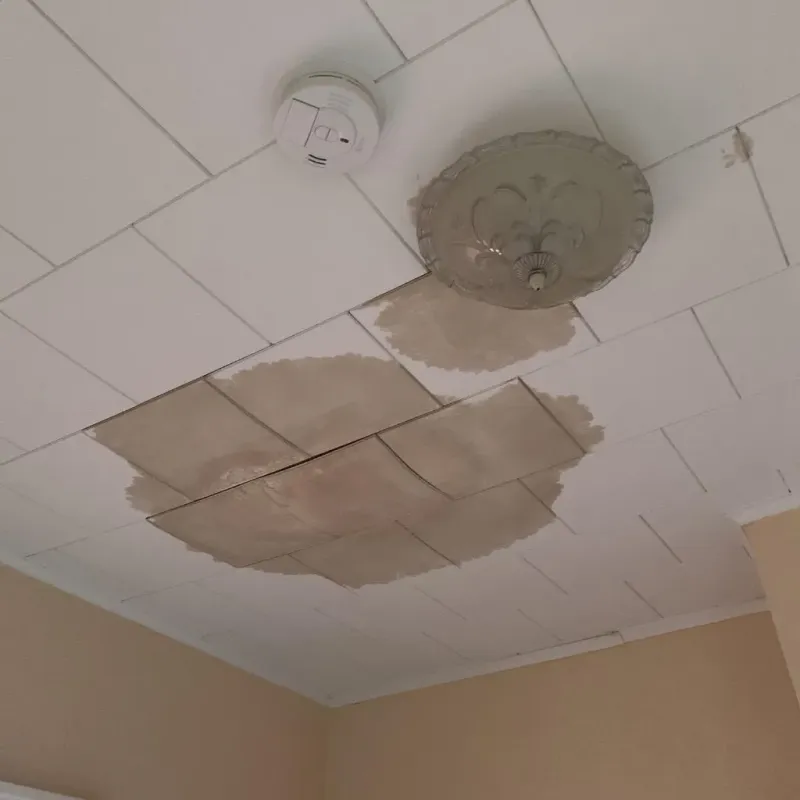 Ceiling Water Damage Repair in Jones Creek, TX