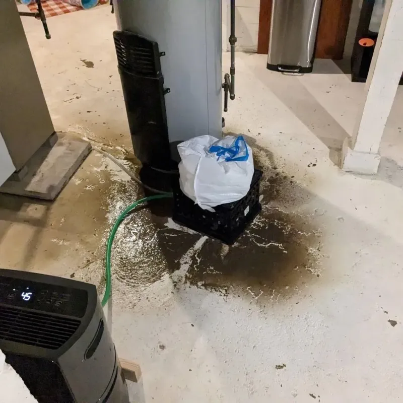 Sewage Backup Cleanup Service in Jones Creek, TX